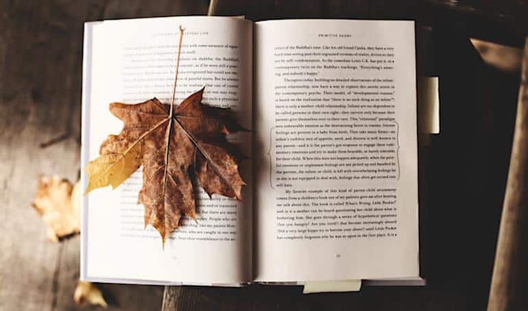 Что почитать осенью. Фото №1